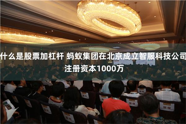 什么是股票加杠杆 蚂蚁集团在北京成立智服科技公司 注册资本1000万