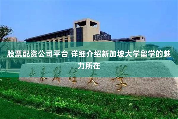 股票配资公司平台 详细介绍新加坡大学留学的魅力所在