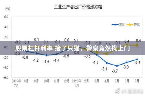 股票杠杆利率 捡了只猫，警察竟然找上门