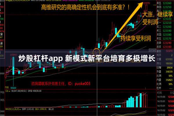 炒股杠杆app 新模式新平台培育多极增长