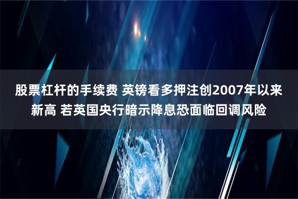 股票杠杆的手续费 英镑看多押注创2007年以来新高 若英国央行暗示降息恐面临回调风险