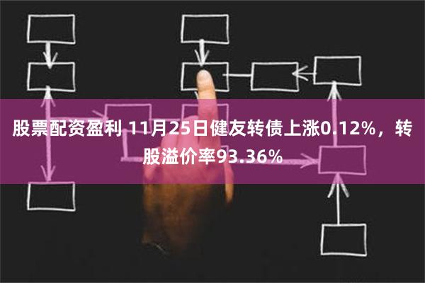 股票配资盈利 11月25日健友转债上涨0.12%，转股溢价率93.36%