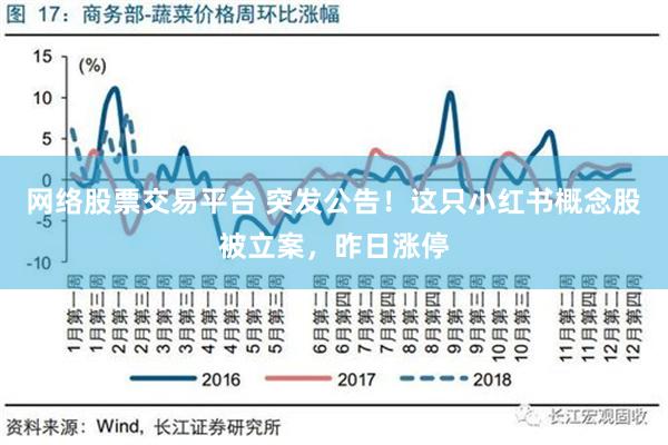 网络股票交易平台 突发公告！这只小红书概念股被立案，昨日涨停