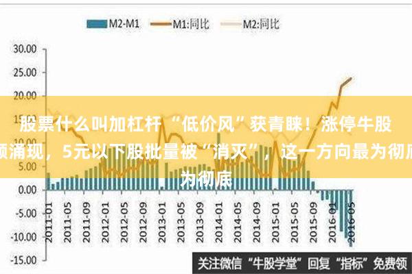 股票什么叫加杠杆 “低价风”获青睐！涨停牛股频涌现，5元以下股批量被“消灭”，这一方向最为彻底